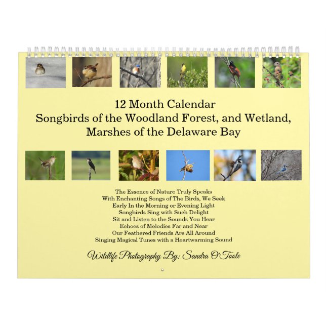 Wildlife Calendar, Songbirds, Wild Birds  Kalender (Titelbild)