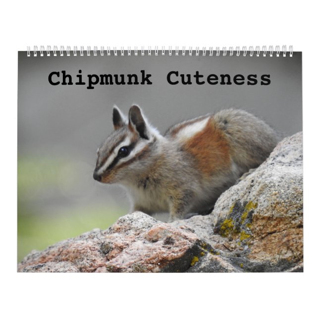 Wildlife calendar, wilde Tiere, Chipmunk Cuteness Kalender (Titelbild)