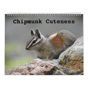 Wildlife calendar, wilde Tiere, Chipmunk Cuteness Kalender