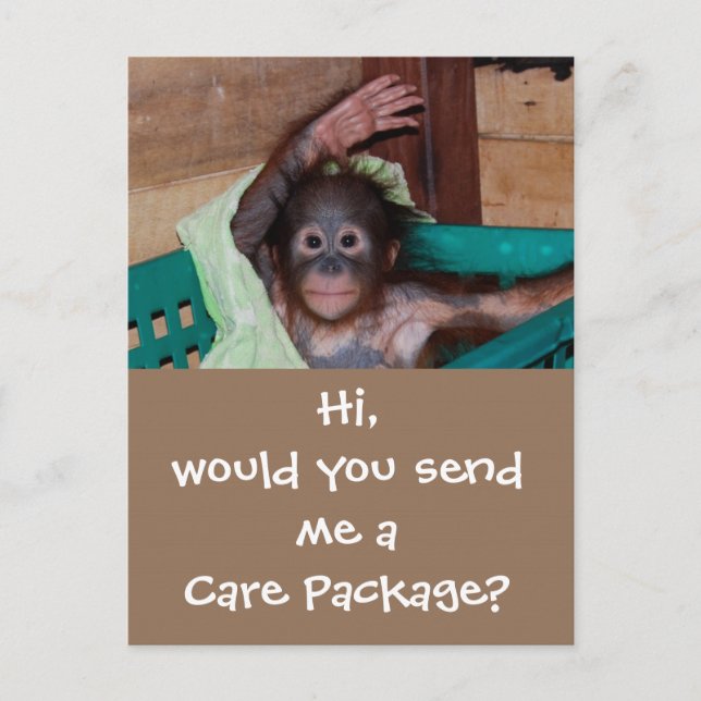 Wildlife Care Package Postkarte (Vorderseite)