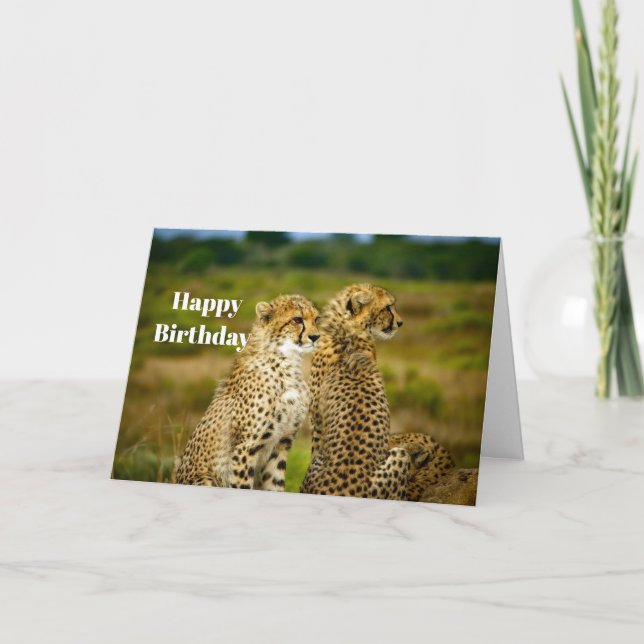 Wildlife Cheetah Foto Birthday Karte (Vorderseite)