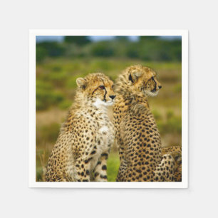 Wildlife Cheetah Foto Serviette