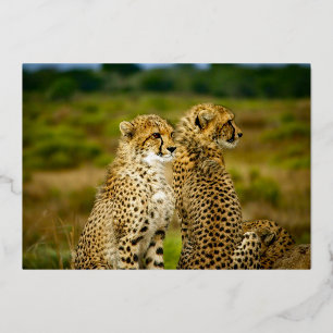 Wildlife Cheetah Pair Birthday Gold Folieneinladung