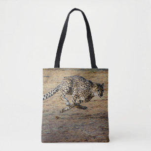 Wildlife Cheetah Running Foto