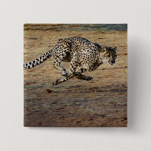 Wildlife Cheetah Running Foto Button (Vorderseite)