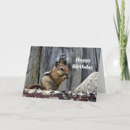 Wildlife Chipmunk Animal Foto Geburtstag Karte