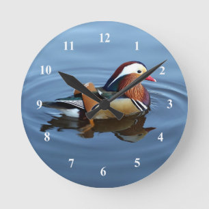 Wildlife Colorful Duck Blue Water Photo Runde Wanduhr