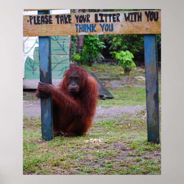 Wildlife Conservation / Litter und Müll Poster (Vorne)