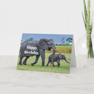 Wildlife Elephant Calf Foto Geburtstag Karte