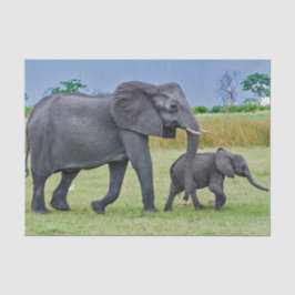 Wildlife Elephant Calf Foto Seidenpapier