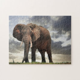 Wildlife Elephant Foto Puzzle
