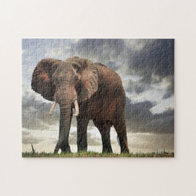 Wildlife Elephant Foto Puzzle (Horizontal)