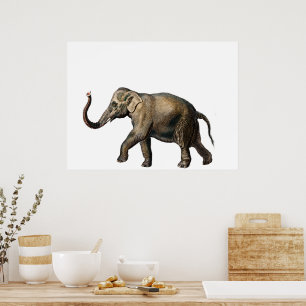Wildlife Elephant Poster