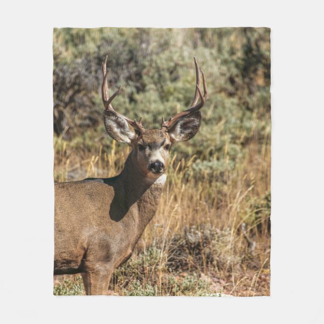 WILDLIFE-FOTOGRAFIE DES BROWN BUCK FLEECEDECKE (Vorderseite)