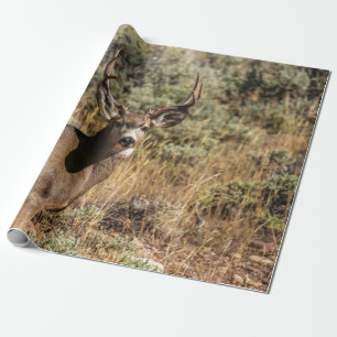 WILDLIFE-FOTOGRAFIE DES BROWN BUCK GESCHENKPAPIER