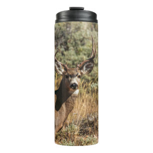 WILDLIFE-FOTOGRAFIE DES BROWN BUCK THERMOSBECHER