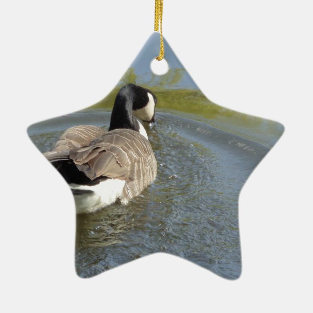 Wildlife Gänseschwimmen, Wasserzirkel Keramikornament (Hinten)