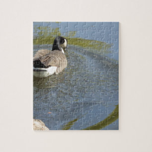Wildlife Gänseschwimmen, Wasserzirkel Puzzle