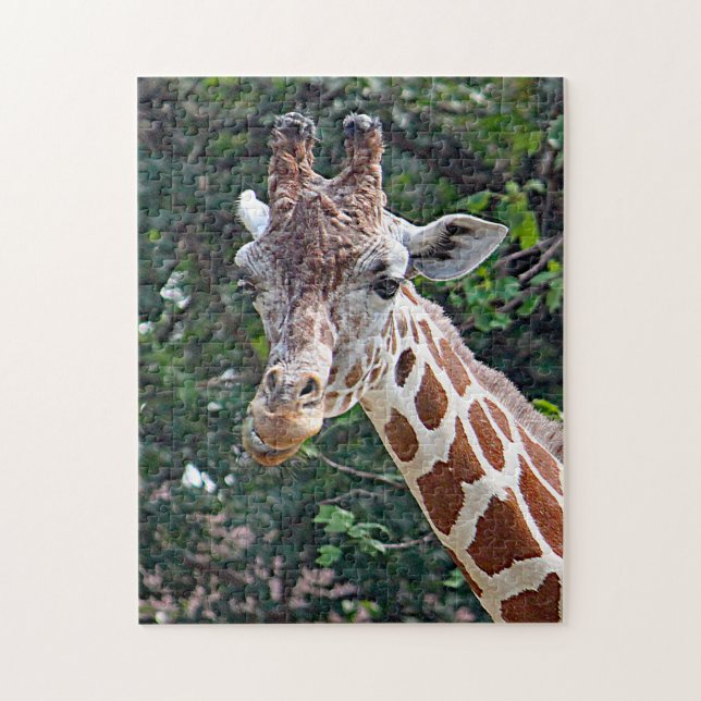 Wildlife Giraffe Foto Puzzle (Vertikal)