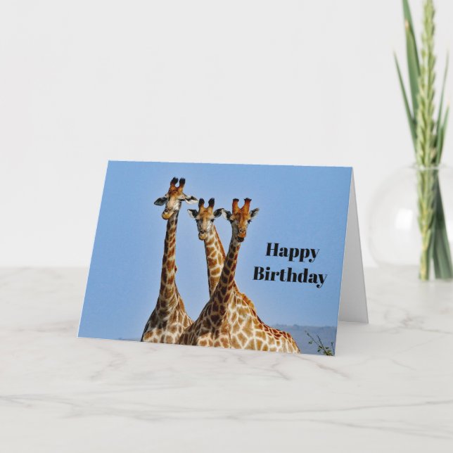 Wildlife Giraffe Herd Foto Geburtstag Karte (Vorderseite)