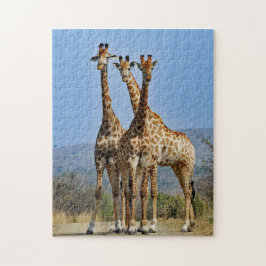 Wildlife Giraffe Herd Foto Puzzle