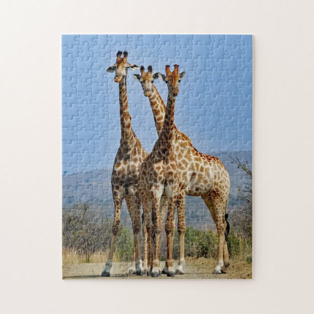 Wildlife Giraffe Herd Foto Puzzle (Vertikal)