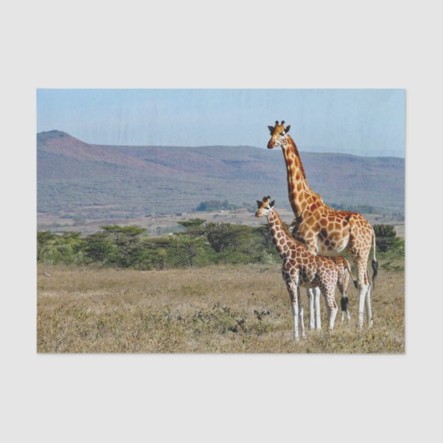 Wildlife Giraffe Mutter und Baby Foto Seidenpapier (Vorderseite)