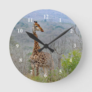 Wildlife Giraffe Savannah Photo Runde Wanduhr