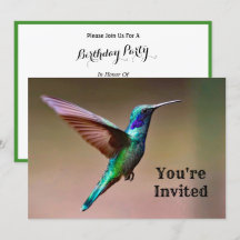 Wildlife Green Hummingbird Foto Geburtstag
