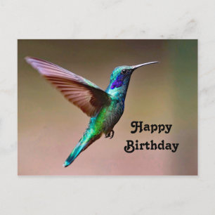 Wildlife Green Hummingbird Foto Geburtstag Postkarte