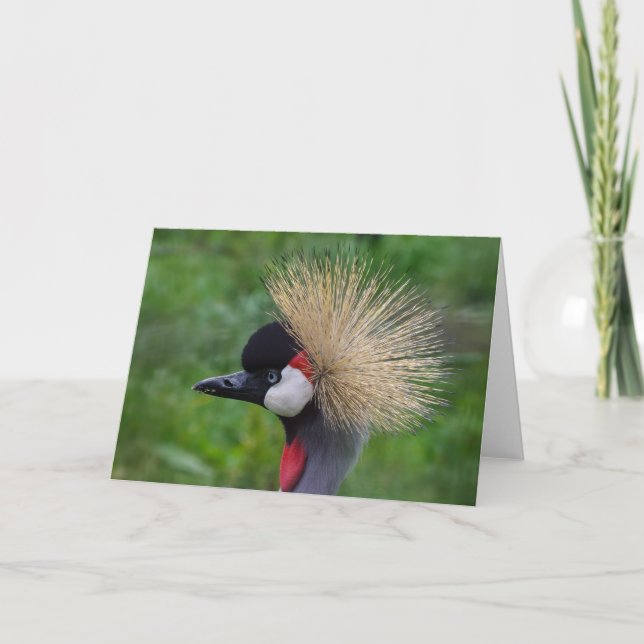 Wildlife Grüße Karte, innen leer. Karte (Vorderseite)