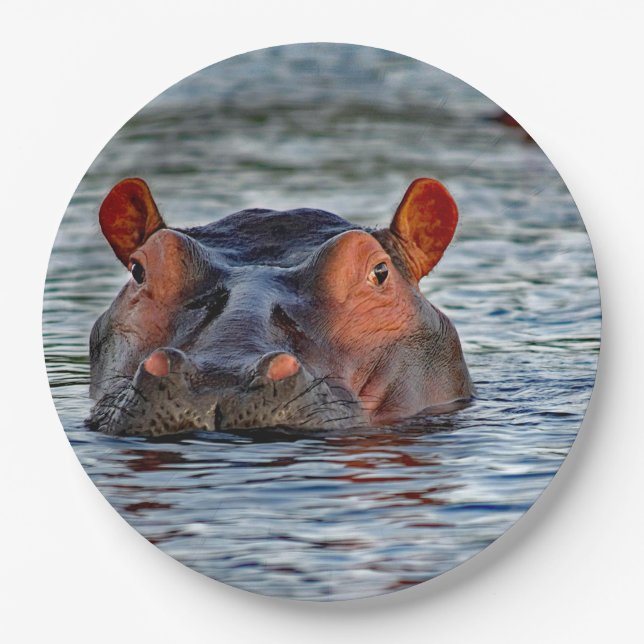 Wildlife Hippo Water Foto Pappteller (Vorderseite)