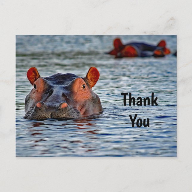 Wildlife Hippo Water Foto Vielen Dank Postkarte (Vorderseite)