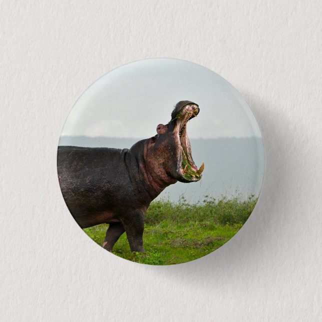 Wildlife Hippopotamus Foto Button (Vorderseite)