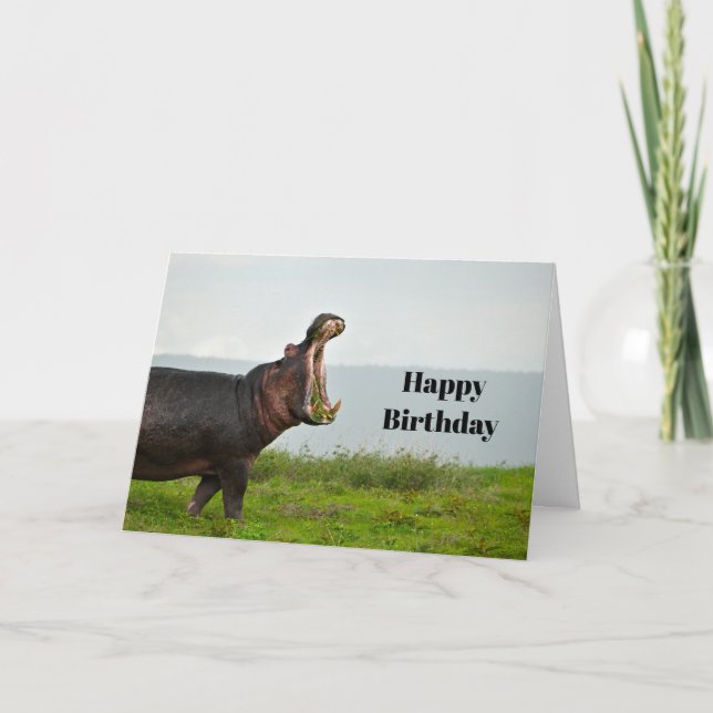 Wildlife Hippopotamus Foto Geburtstag Karte (Vorderseite)