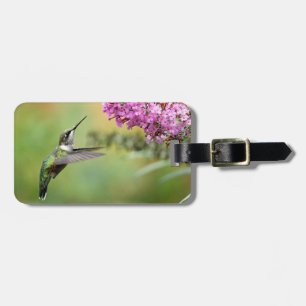 Wildlife Hummingbird Floral Foto Gepäckanhänger