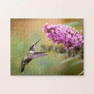 Wildlife Hummingbird Floral Foto Puzzle