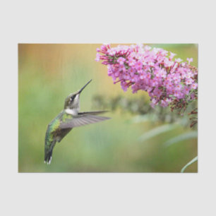 Wildlife Hummingbird Floral Foto Seidenpapier