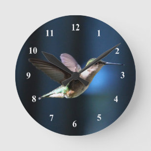 Wildlife Hummingbird Photo Runde Wanduhr