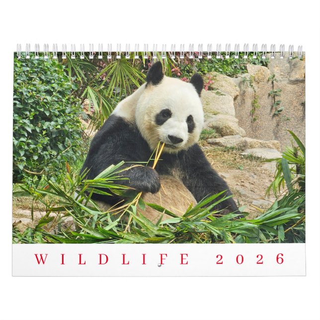 Wildlife-Kalender 2026 Kalender (Titelbild)