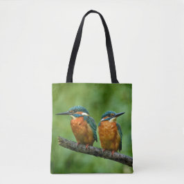 Wildlife Kingfisher Foto