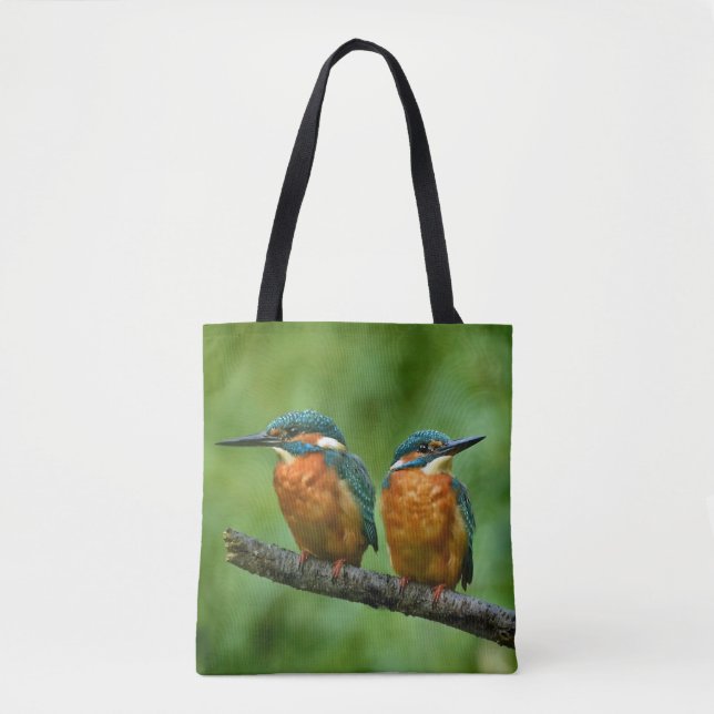Wildlife Kingfisher Foto (Vorderseite)
