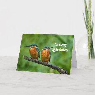 Wildlife Kingfisher Foto Geburtstag Karte
