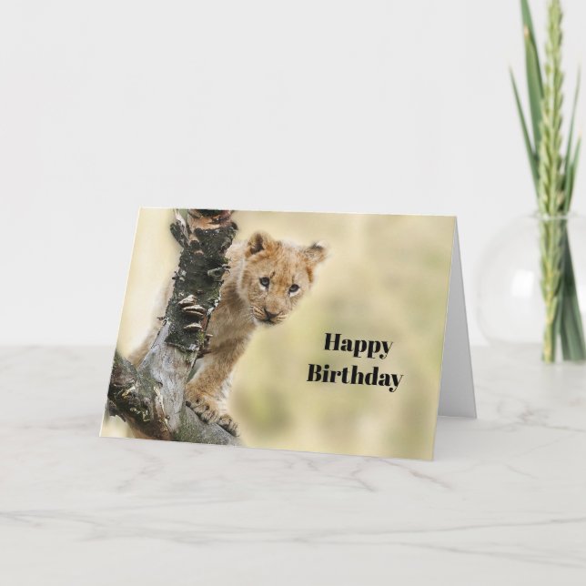 Wildlife Lion Cub Foto Geburtstag Karte (Vorderseite)