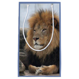Wildlife Lion Foto Kleine Geschenktüte