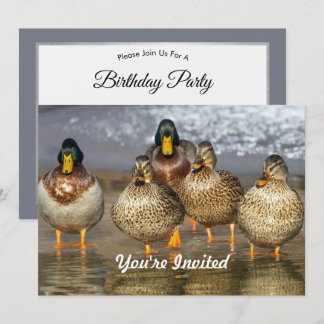 Wildlife Mallard Ducks Foto Geburtstag Einladung