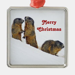 Wildlife Marmots Schnee Foto Weihnachten Ornament Aus Metall