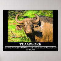 Wildlife Motivierend Posters Buffalo Teamwork