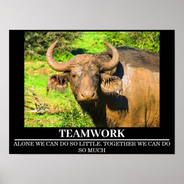 Wildlife Motivierend Posters Buffalo Teamwork Poster (Vorne)