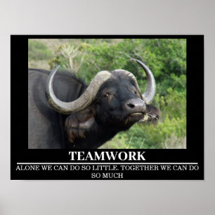 Wildlife Motivierend Posters Buffalo Teamwork Poster